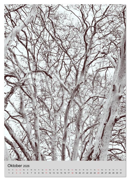 Produktbild: Natur monochrom Die besondere Wirkung (hochwertiger Premium Wandkalender 2026 DIN A2 hoch), Kunstdruck in Hochglanz