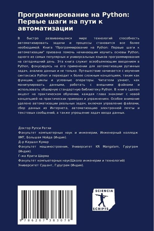Produktbild: Programmirowanie na Python: Perwye shagi na puti k awtomatizacii