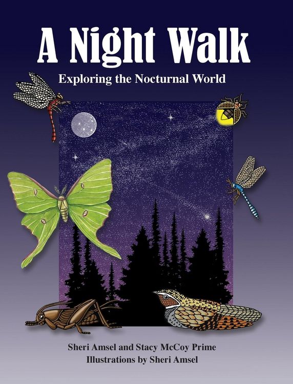 Produktbild: A Night Walk