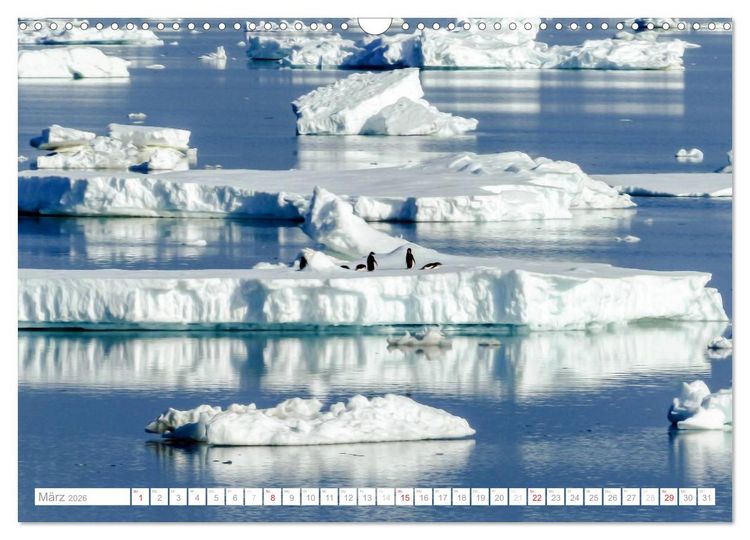 Produktbild: Antarktis - Das Reich der Pinguine (Wandkalender 2026 DIN A3 quer), CALVENDO Monatskalender