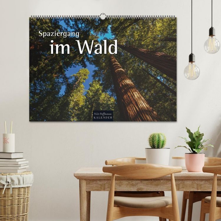 Produktbild: Spaziergang im Wald (Wandkalender 2027 DIN A2 quer), CALVENDO Monatskalender