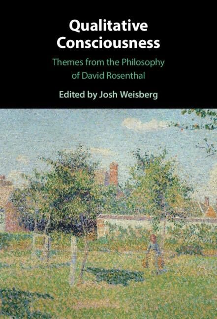 Produktbild: Qualitative Consciousness