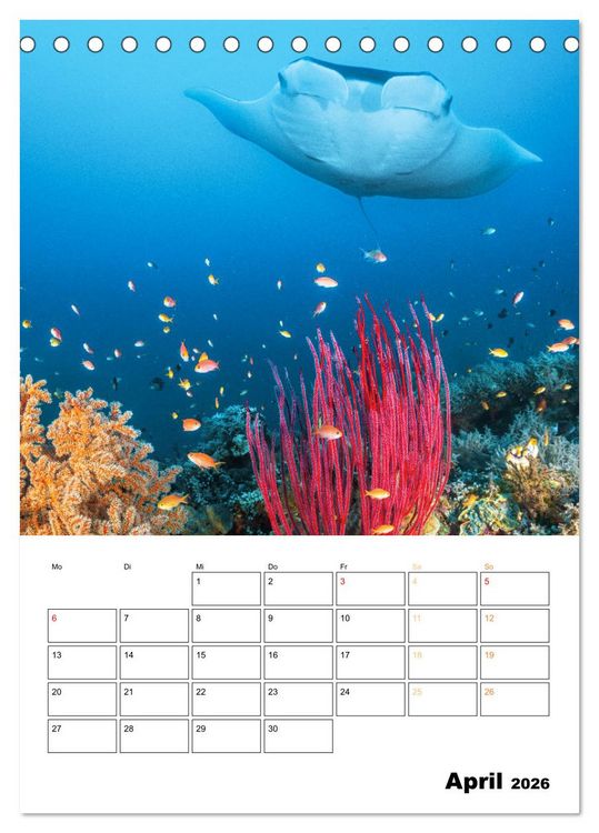 Produktbild: Farbrausch unter Wasser: Fische am Riff (Tischkalender 2026 DIN A5 hoch), CALVENDO Monatskalender