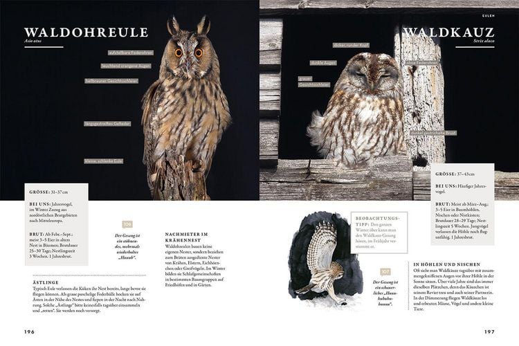 Produktbild: Das Buch der Gartenv&ouml;gel