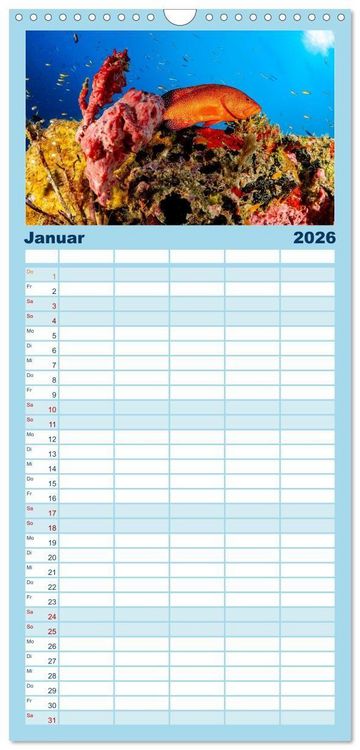 Produktbild: Familienplaner 2026 - Faszinierende Meereswelt der Malediven mit 5 Spalten (Wandkalender, 21 x 45 cm) CALVENDO
