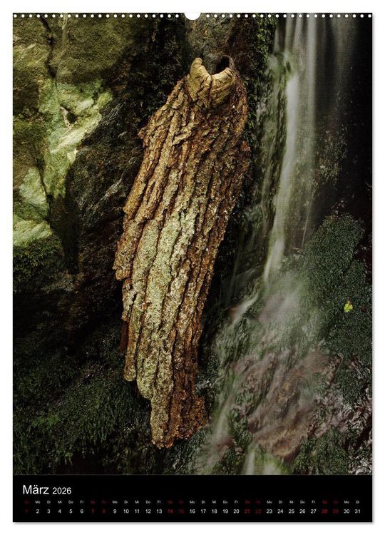 Produktbild: NATUREART - KUNST IN DER NATUR (Wandkalender 2026 DIN A2 hoch), CALVENDO Monatskalender