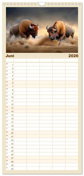 Produktbild: Familienplaner 2026 - B&uuml;ffel - Ikonen der Wildnis mit 5 Spalten (Wandkalender, 21 x 45 cm) CALVENDO