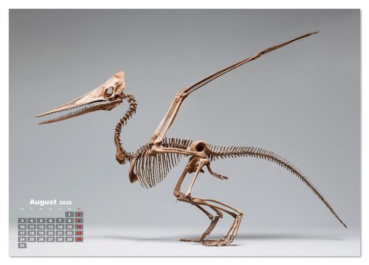 Produktbild: Knochen der Giganten - Dinosaurier im Portr&auml;t (Tischkalender 2026 DIN A5 quer), CALVENDO Monatskalender