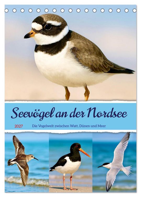 Produktbild: Seev&ouml;gel an der Nordsee (Tischkalender 2027 DIN A5 hoch), CALVENDO Monatskalender