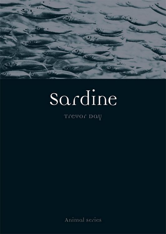 Produktbild: Sardine