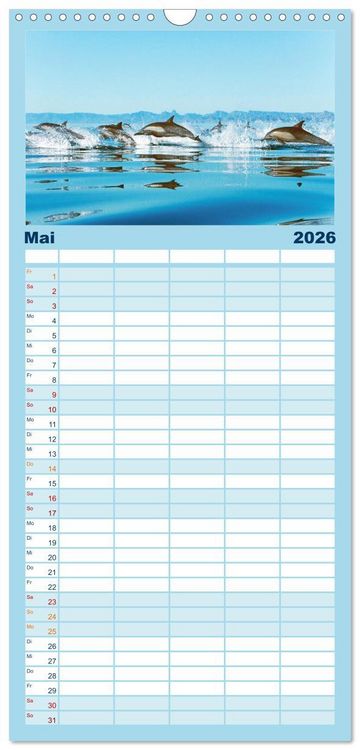 Produktbild: Familienplaner 2026 - Delfine: Elegante Wellenreiter mit 5 Spalten (Wandkalender, 21 x 45 cm) CALVENDO