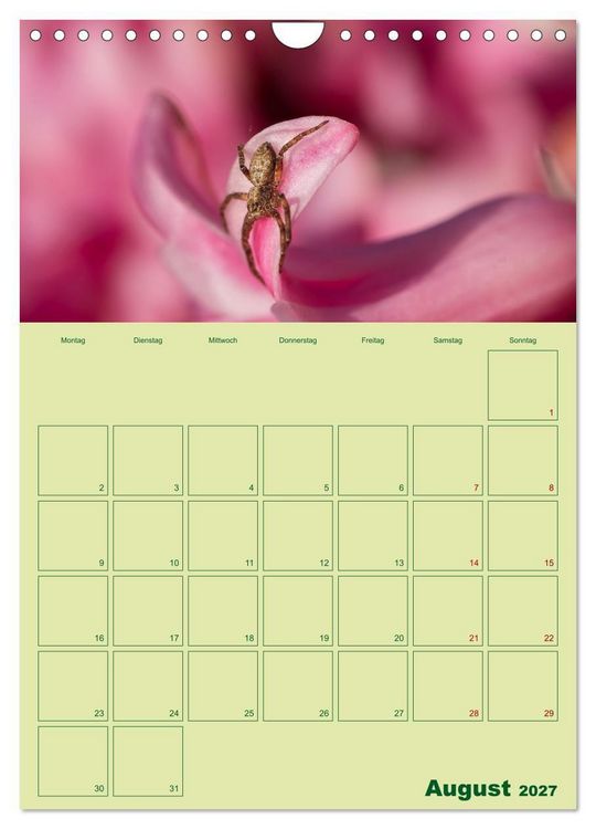 Produktbild: Die Welt der Insekten (Wandkalender 2027 DIN A4 hoch), CALVENDO Monatskalender