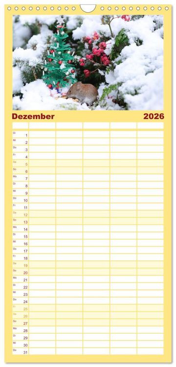 Produktbild: Familienplaner 2026 - Die R&ouml;telmaus - neugierig und verfressen mit 5 Spalten (Wandkalender, 21 x 45 cm) CALVENDO