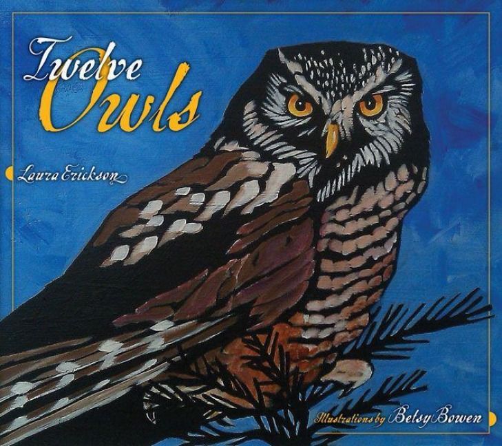 Produktbild: Twelve Owls