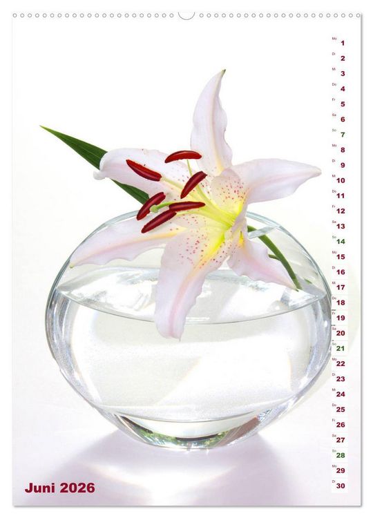 Produktbild: Lilien-Eleganz (hochwertiger Premium Wandkalender 2026 DIN A2 hoch), Kunstdruck in Hochglanz