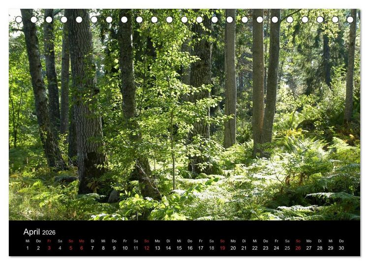 Produktbild: Sommer in Stockholm 2026 (Tischkalender 2026 DIN A5 quer), CALVENDO Monatskalender