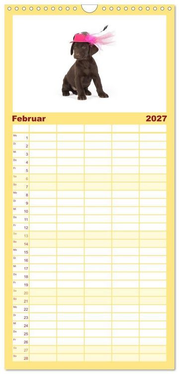 Produktbild: Familienplaner 2027 - Labrador - Welpen mit 5 Spalten (Wandkalender, 21 x 45 cm) CALVENDO