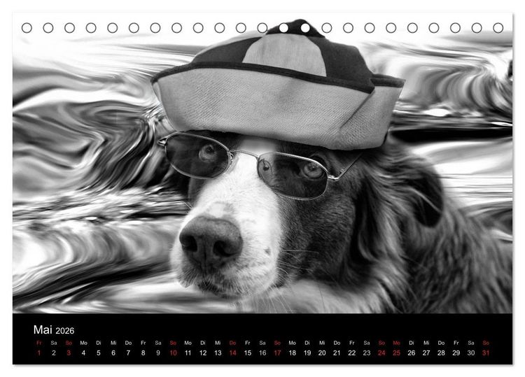 Produktbild: H&uuml;tehunde (Tischkalender 2026 DIN A5 quer), CALVENDO Monatskalender