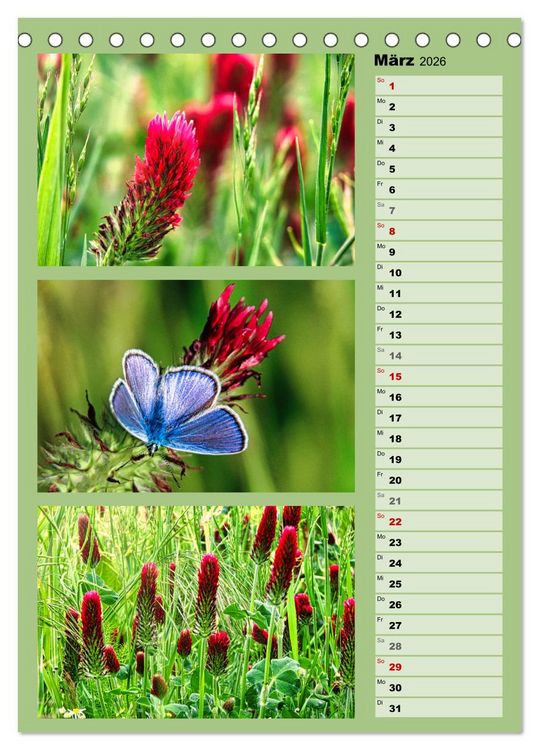 Produktbild: Farbenzauber, bunte Wiesen und bunte Falter (Tischkalender 2026 DIN A5 hoch), CALVENDO Monatskalender