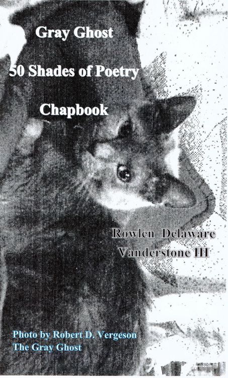 Produktbild: Gray Ghost 50 Shades of Poetry Chapbook