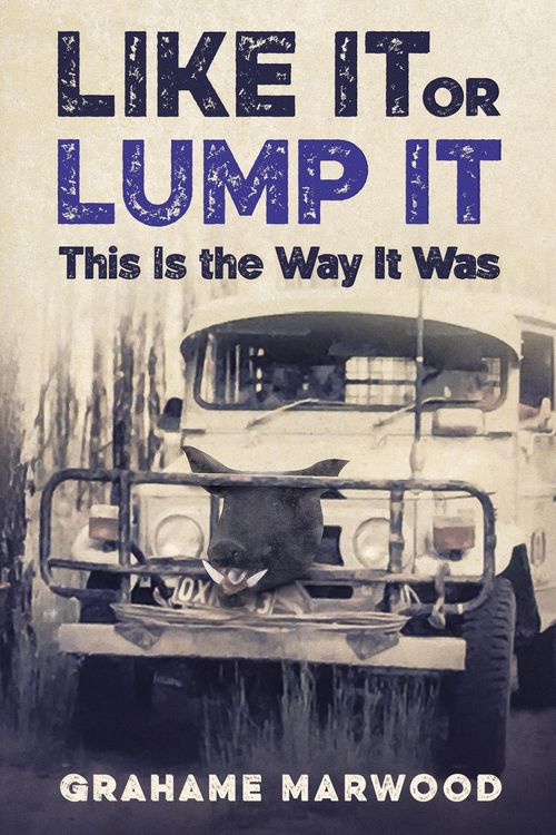 Produktbild: Like It or Lump It: This is the Way It Was