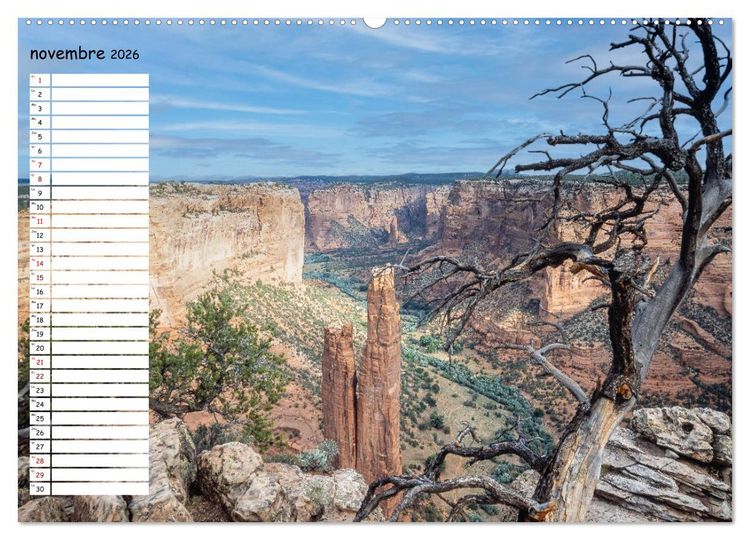 Produktbild: Arizona, une rencontre avec la nature (Calendrier mural 2026 DIN A2 vertical) calendrier de bureau