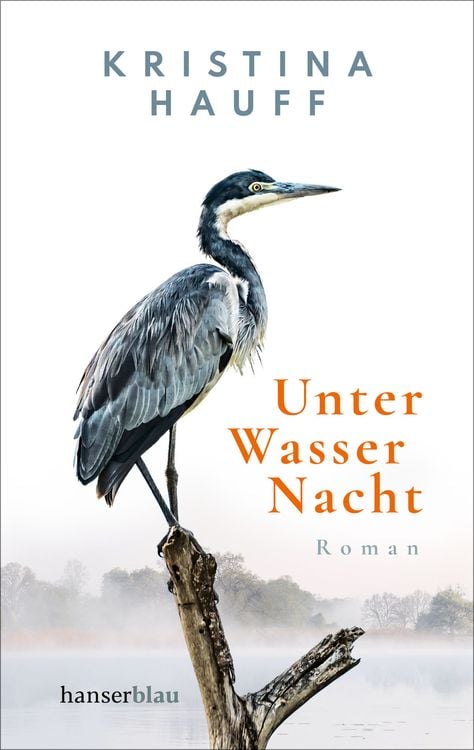 Bild vom Artikel Unter Wasser Nacht vom Autor Kristina Hauff