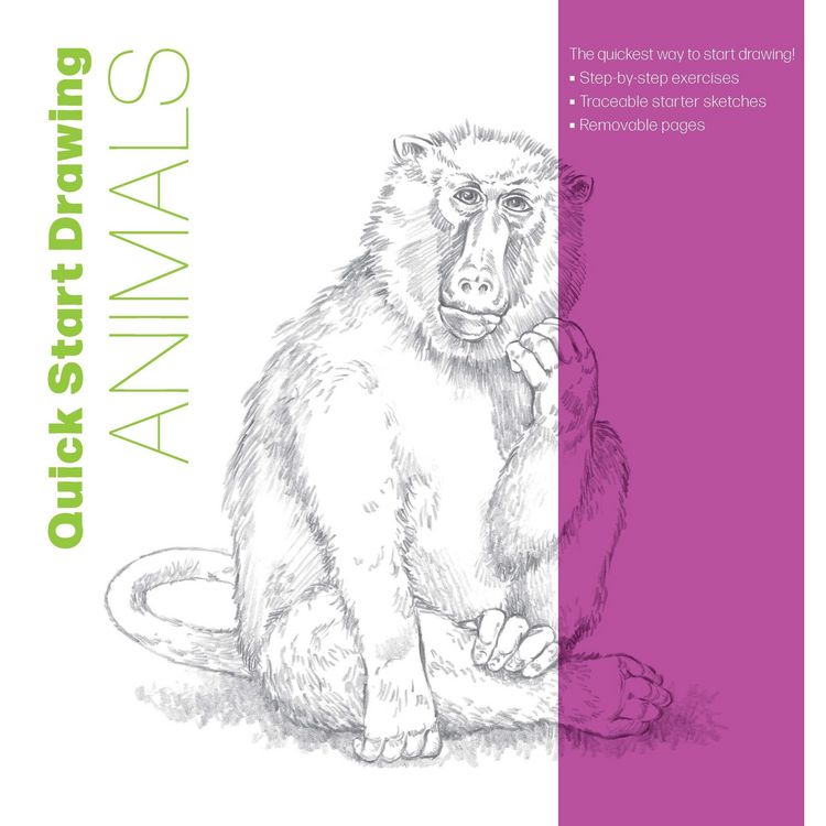 Produktbild: Quick Start Drawing Animals
