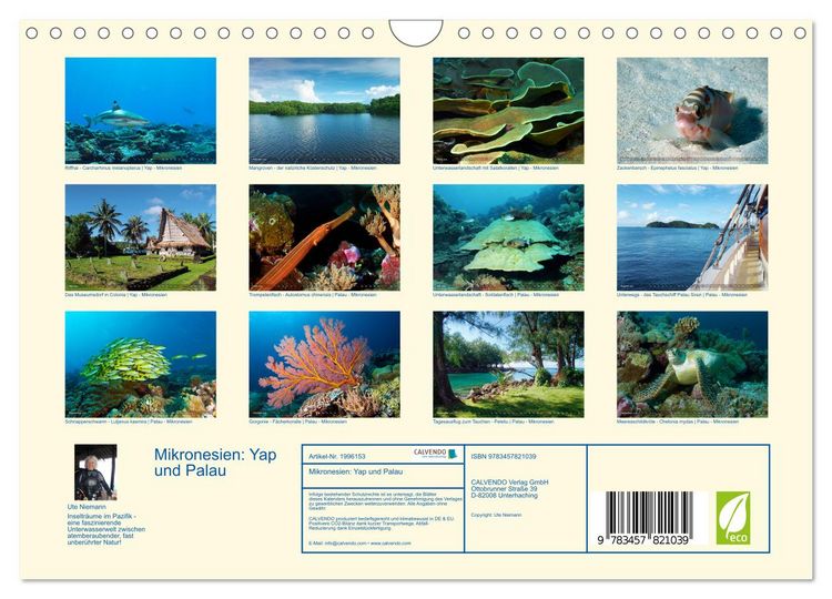 Produktbild: Mikronesien: Yap und Palau (Wandkalender 2026 DIN A4 quer), CALVENDO Monatskalender