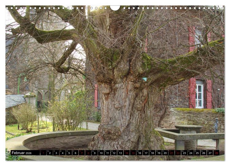 Produktbild: Dorflinden (Wandkalender 2026 DIN A3 quer), CALVENDO Monatskalender