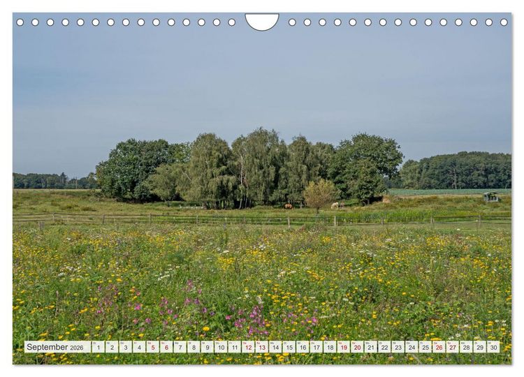 Produktbild: Romantisches Wegberg (Wandkalender 2026 DIN A4 quer), CALVENDO Monatskalender