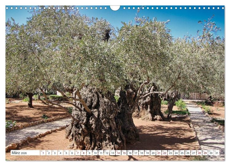 Produktbild: Biblische Orte in Israel mit Bibelstellen (Wandkalender 2026 DIN A3 quer), CALVENDO Monatskalender