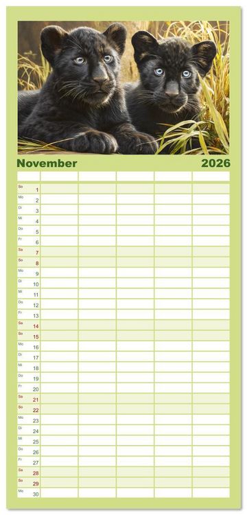 Produktbild: Familienplaner 2026 - Schwarze Panther. Geheimnisvolle Schatten der Wildnis mit 5 Spalten (Wandkalender, 21 x 45 cm) CALVENDO