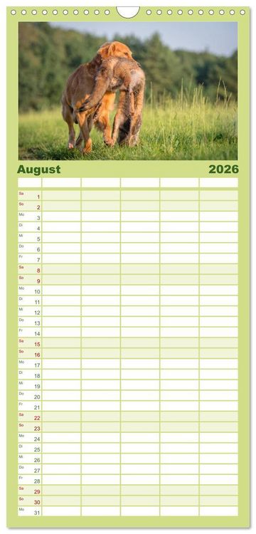 Produktbild: Familienplaner 2026 - Jagdhunde bei der Arbeit mit 5 Spalten (Wandkalender, 21 x 45 cm) CALVENDO