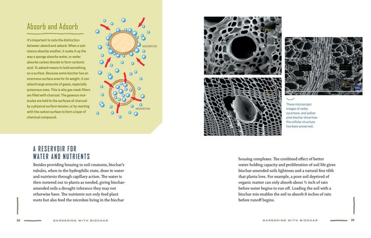 Produktbild: Gardening with Biochar