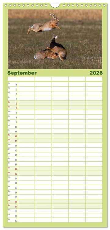 Produktbild: Familienplaner 2026 - Feldhasen in H&ouml;chstform mit 5 Spalten (Wandkalender, 21 x 45 cm) CALVENDO