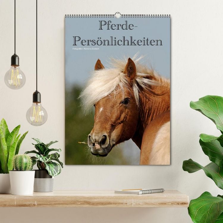 Produktbild: Pferde-Pers&ouml;nlichkeiten - ausdrucksstarke Gesichter verschiedener Pferderassen (Wandkalender 2026 DIN A2 hoch), CALVENDO Monatskalender