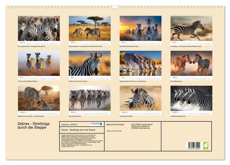 Produktbild: Zebras - Streifz&uuml;ge durch die Steppe (Wandkalender 2026 DIN A2 quer), CALVENDO Monatskalender
