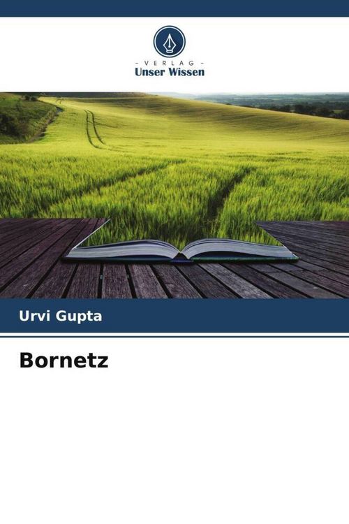 Produktbild: Bornetz