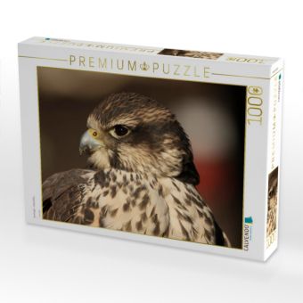 Produktbild: CALVENDO Puzzle Greifv&ouml;gel - Sakerfalke | 1000 Teile Lege-Gr&ouml;&szlig;e 64x48cm Foto-Puzzle f&uuml;r gl&uuml;ckliche Stunden