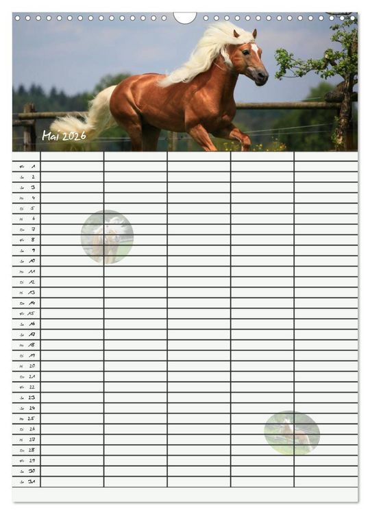 Produktbild: Haflinger Pferde - Stall- und Familienplaner 2026 (Wandkalender 2026 DIN A3 hoch), CALVENDO Monatskalender