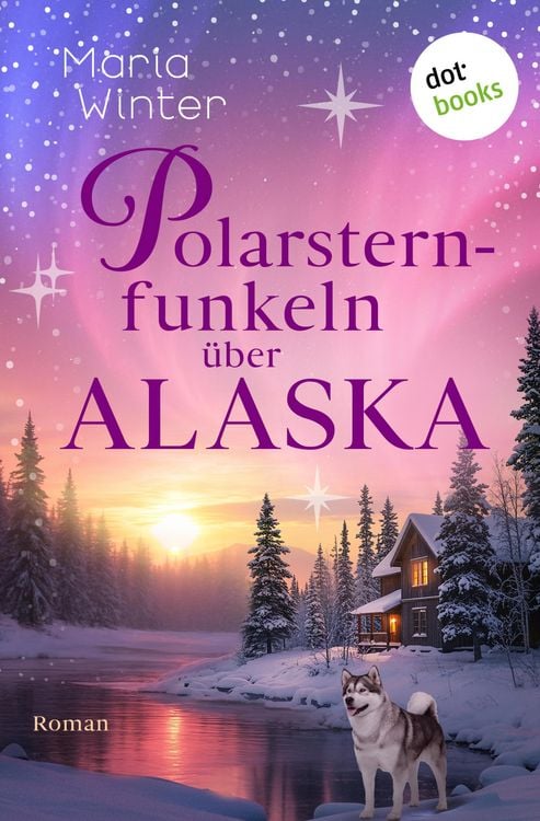Produktbild: Polarsternfunkeln &uuml;ber Alaska
