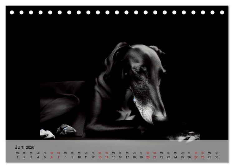 Produktbild: Black is beautiful (Tischkalender 2026 DIN A5 quer), CALVENDO Monatskalender