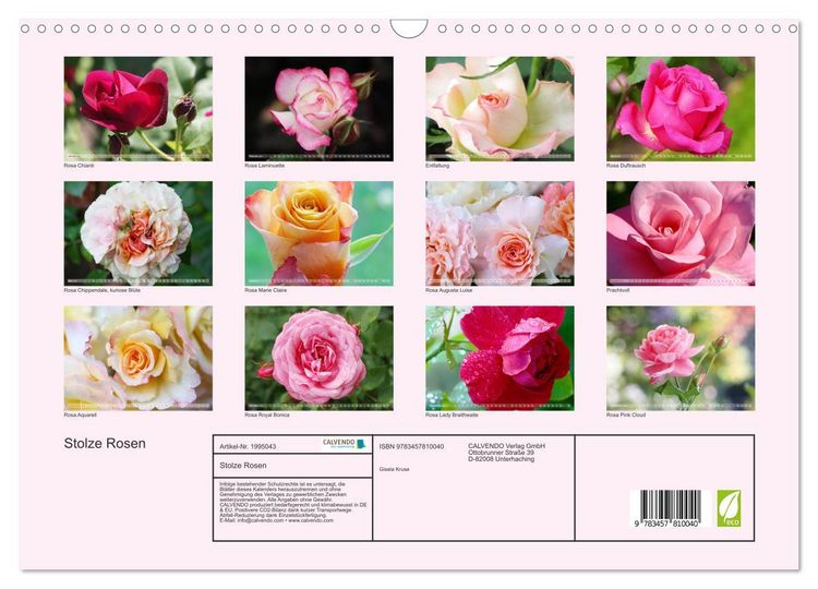 Produktbild: Stolze Rosen (Wandkalender 2026 DIN A3 quer), CALVENDO Monatskalender