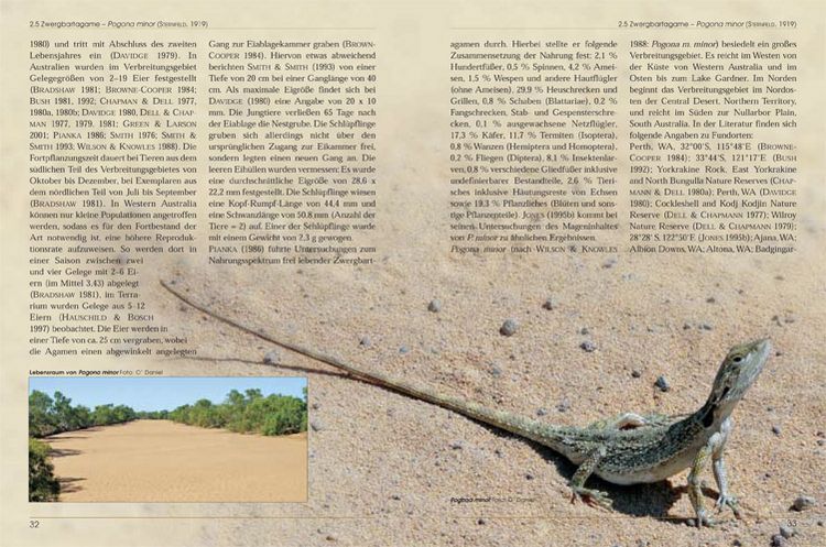 Produktbild: Bartagamen - Die Gattung Pogona