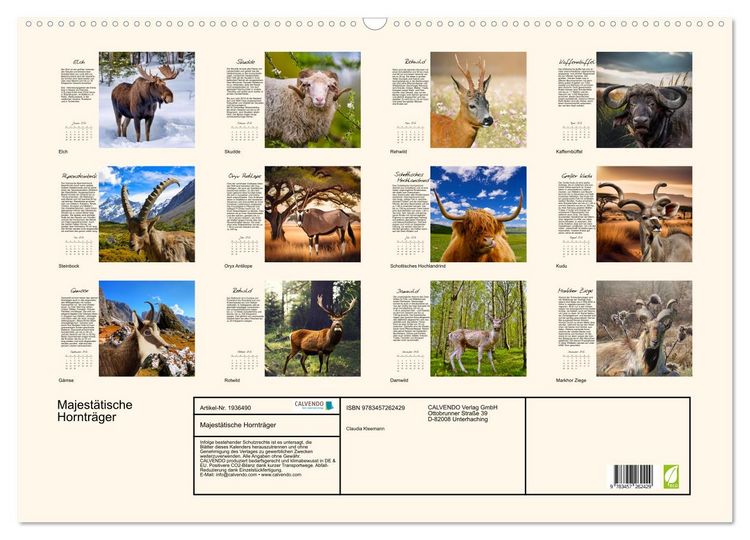 Produktbild: Majest&auml;tische Horntr&auml;ger (Wandkalender 2026 DIN A2 quer), CALVENDO Monatskalender