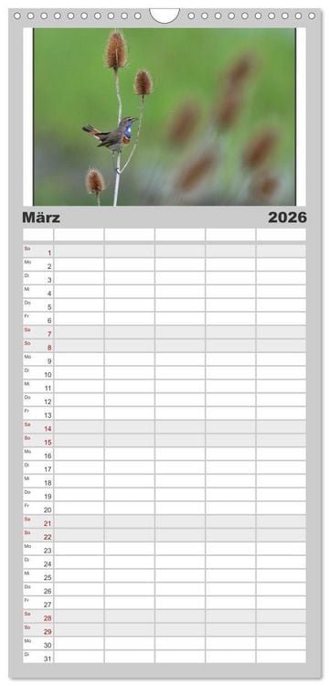 Produktbild: Familienplaner 2026 - V&ouml;gel, Gefiederte Sch&ouml;nheiten mit 5 Spalten (Wandkalender, 21 x 45 cm) CALVENDO