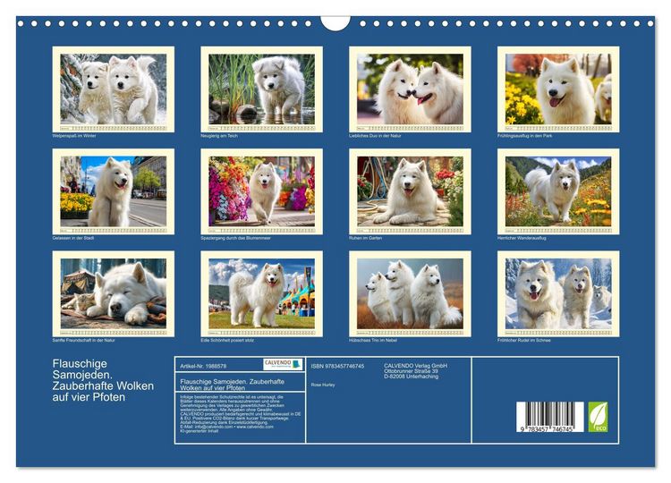 Produktbild: Flauschige Samojeden. Zauberhafte Wolken auf vier Pfoten (Wandkalender 2026 DIN A3 quer), CALVENDO Monatskalender