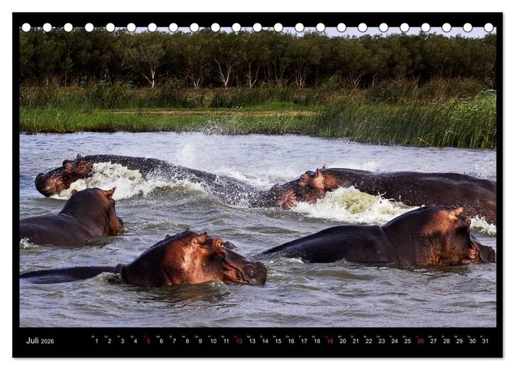 Produktbild: S&Uuml;DAFRIKA Augenblicke (Tischkalender 2026 DIN A5 quer), CALVENDO Monatskalender