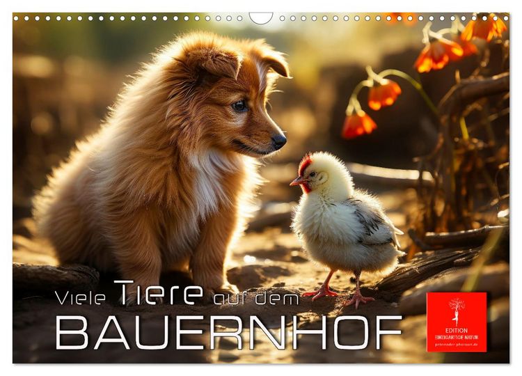 Produktbild: Viele Tiere auf dem Bauernhof (Wandkalender 2026 DIN A3 quer), CALVENDO Monatskalender